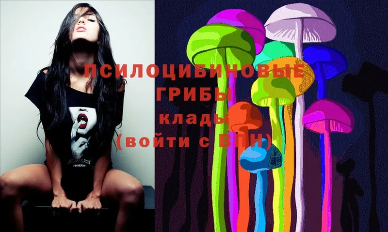 Галлюциногенные грибы MAGIC MUSHROOMS  blacksprut как войти  Краснокамск 